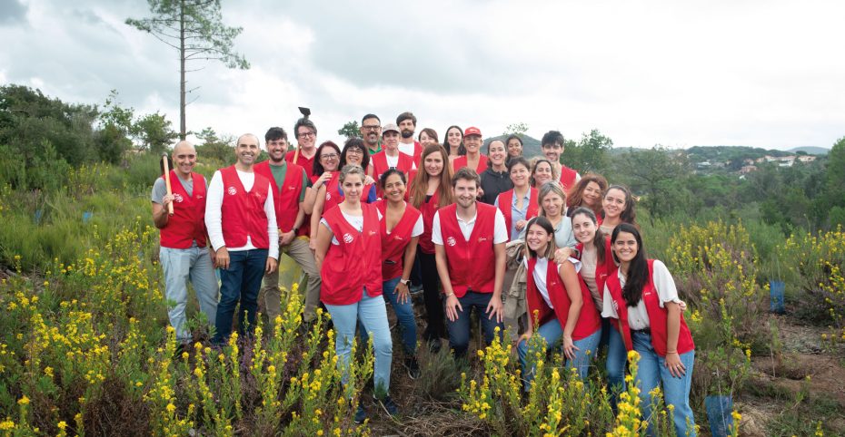 Equipo unido